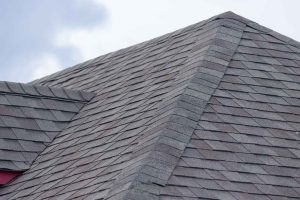 Roof shingles